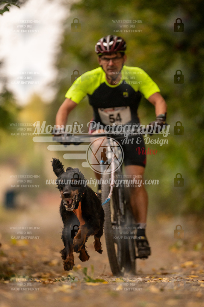 CDLBDB_14_10_2023_Samedi-81 | PayLife