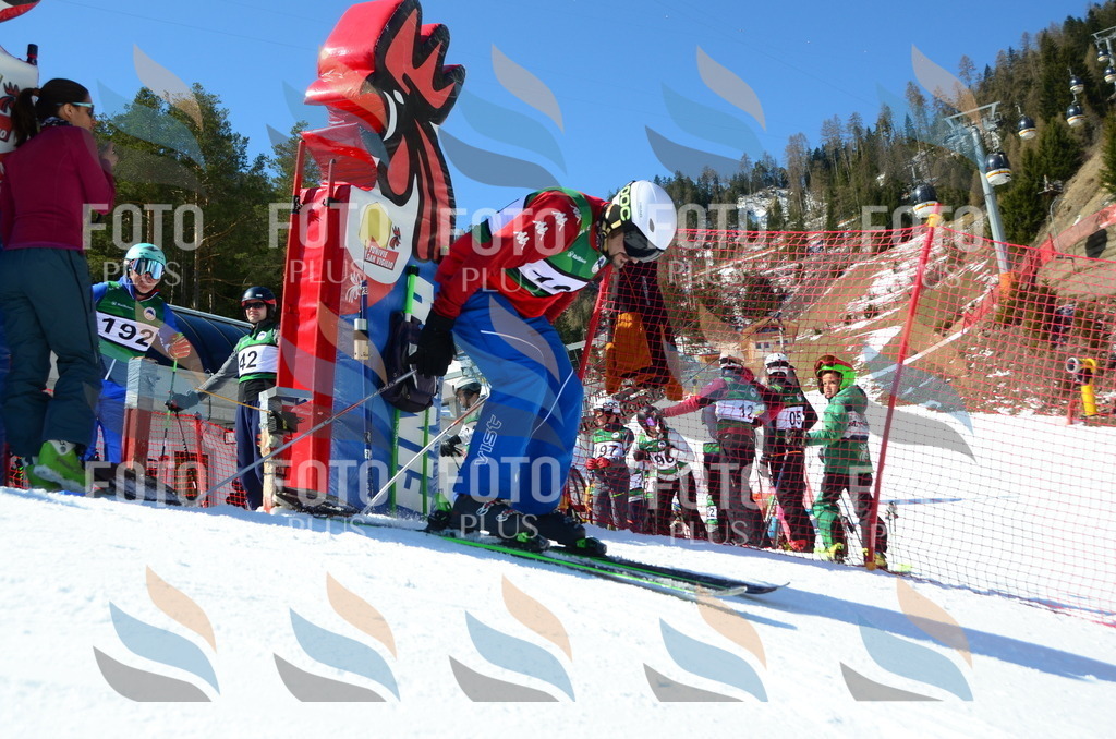 C6513 | holidayphoto