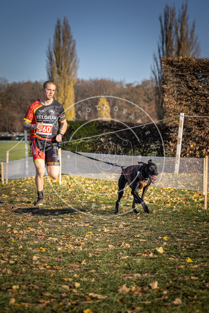 CaniXpix_DV3A0661 | Hundefotografie, Tierfotograf, Pfotenfotografie, Fotoshooting Hund, Hunde Portrait, Hundesport, Hundeportraits, Heideshooting, Hunde, Sportfotograf, Hundefotograf, Turnierhundsport, THS,  - Realisiert mit Pictrs.com