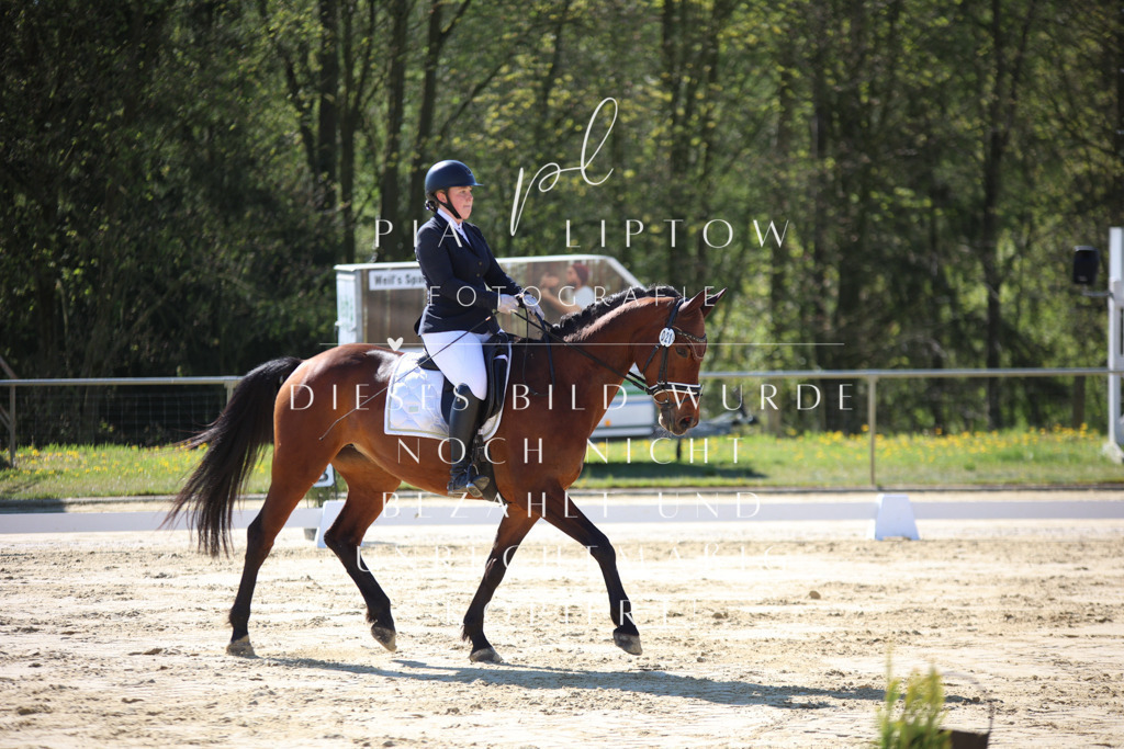 IMGT9488 | pl-fotografie