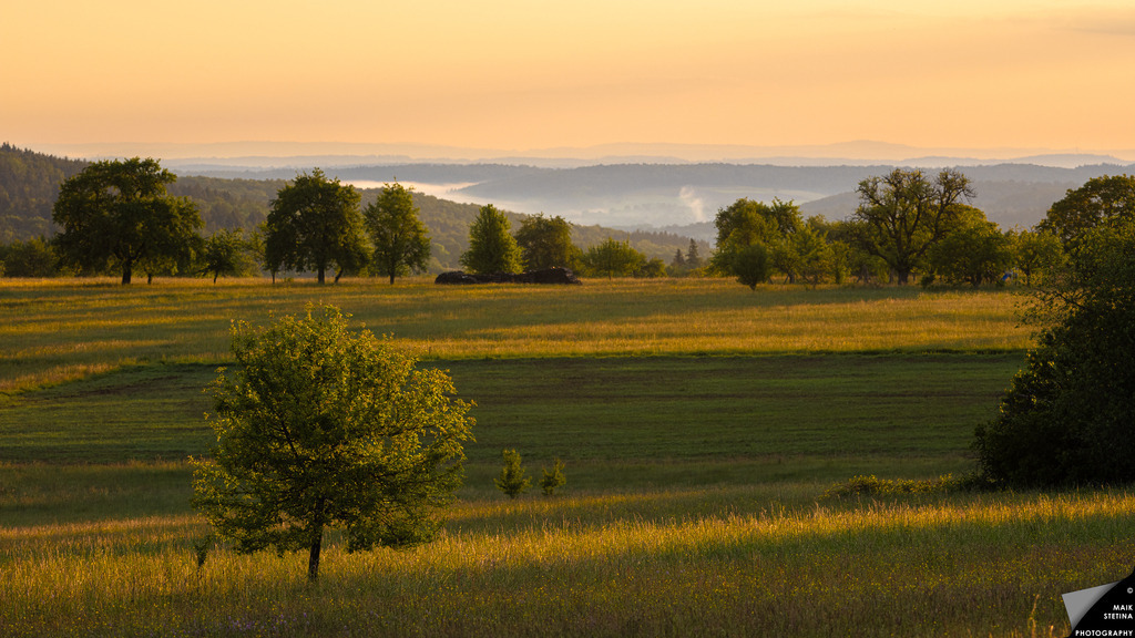 Serene Sunrise Over Rolling Hills | Experience a breathtaking landscape at dawn, featuring gentle rolling hills bathed in soft golden light. The lush greenery and misty valleys create a tranquil and picturesque scene, perfect for nature lovers. - Realisiert mit Pictrs.com