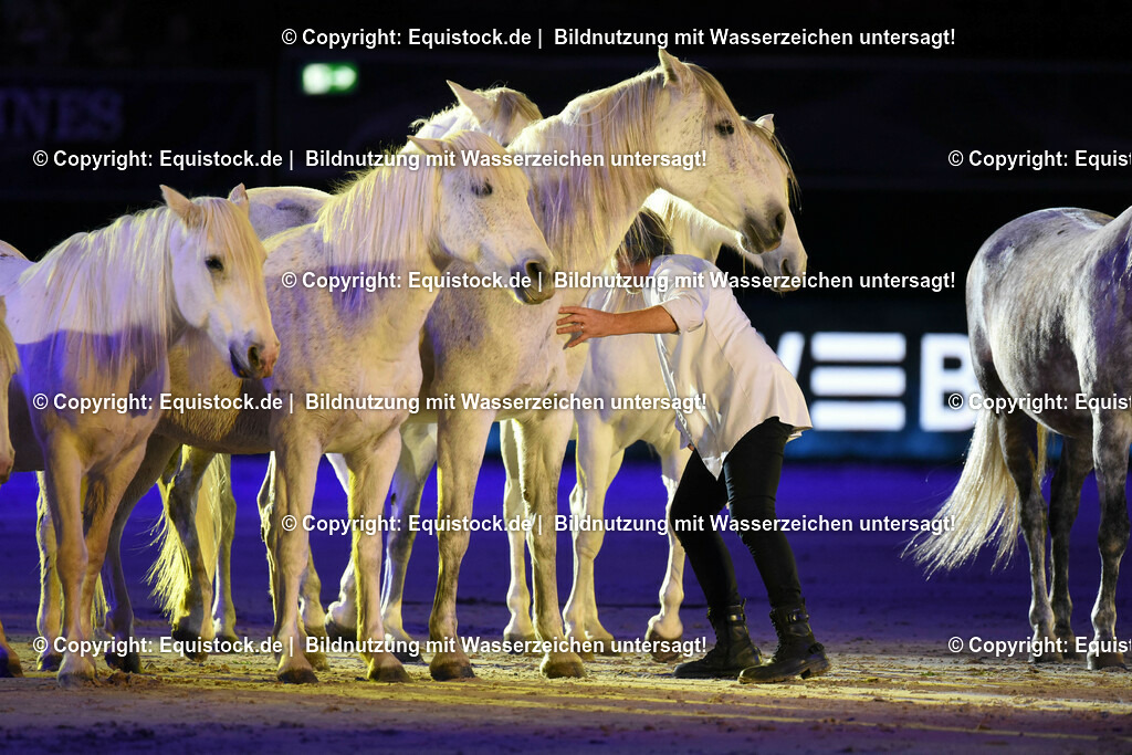 20231115_Show-Jean-Francois-Pignon_0071_TOMsPiC | Foto: Thomas Hartig