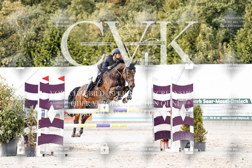 CK904005 | Turnierfotografie Pferdefotografie Trier Rheinland-Pfalz Pferdesport Reitsport Tierfotografie Sportfotografie Pferdevideo Pferdevideografie Equestrianvideography equestrianphotography  - Realisiert mit Pictrs.com