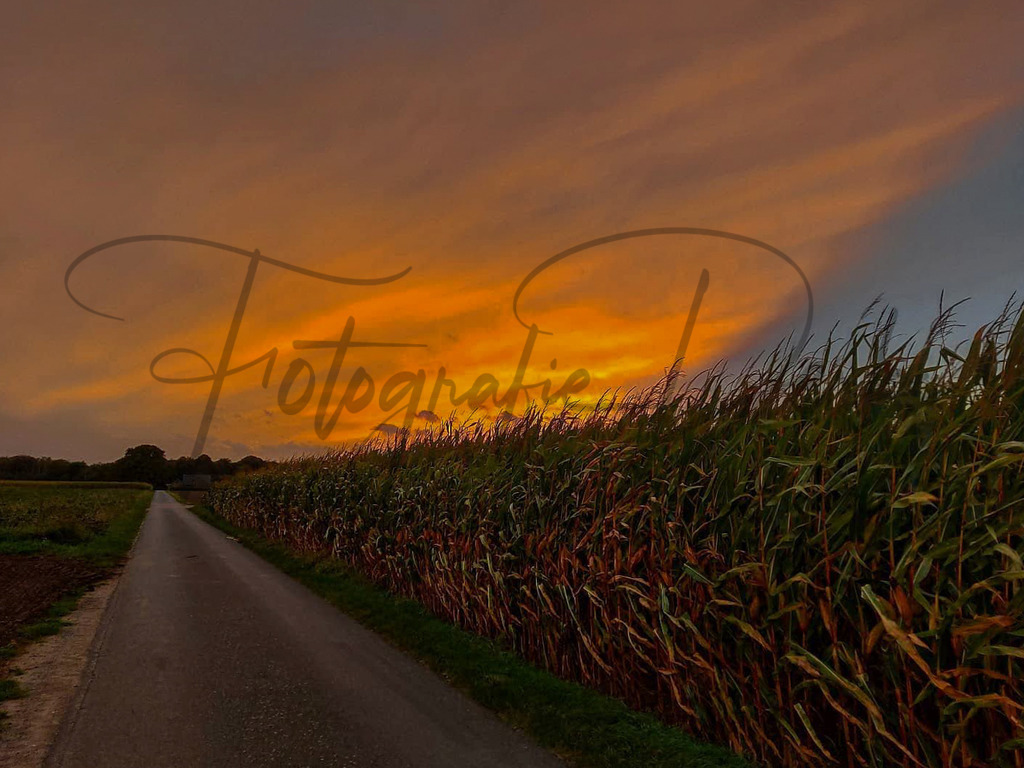 Bilder Homepage-22 | fotografie-derks - Realisiert mit Pictrs.com
