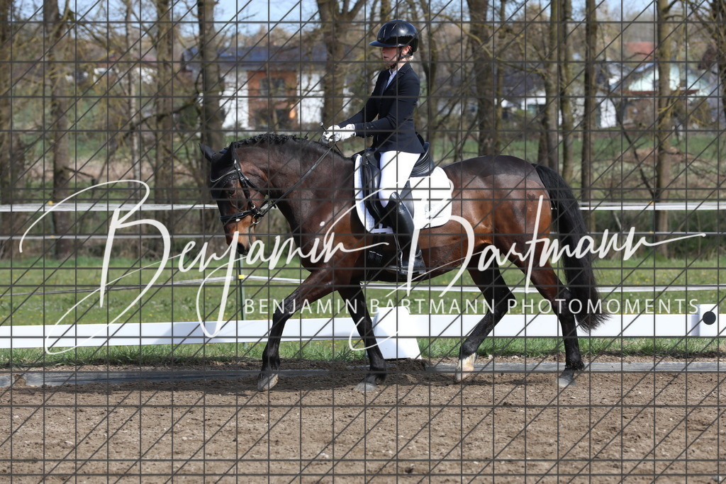 AZ2A4499 | Benjamin Bartmann Photomoments