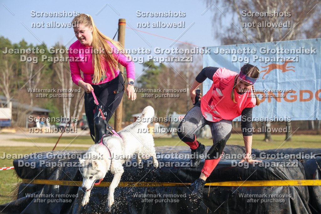 Dog Paparazzi - Strongdog North Mrz26-2357 | Dog Paparazzi Jeanette Grottendiek Fotografie & Videografie - Realisiert mit Pictrs.com