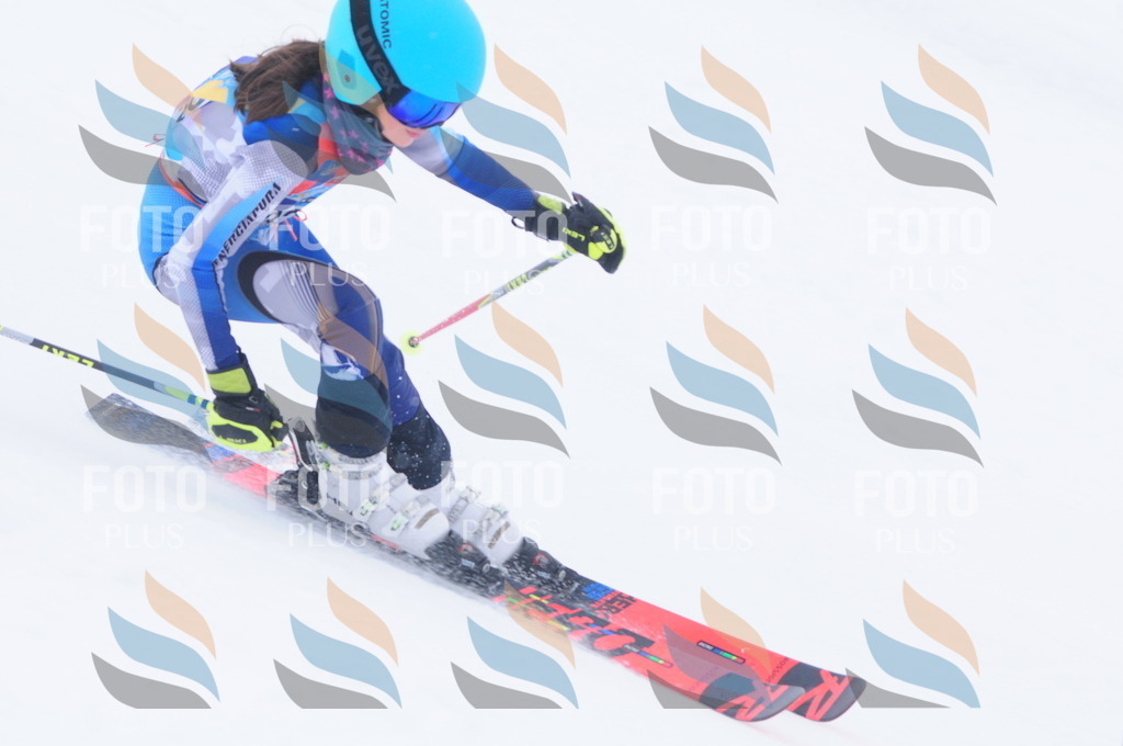 C3547 | holidayphoto