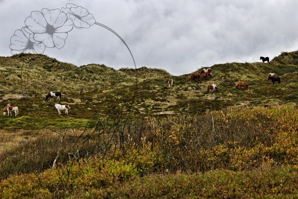 IMG_8408-02 | only.this.little.world - Realisiert mit Pictrs.com