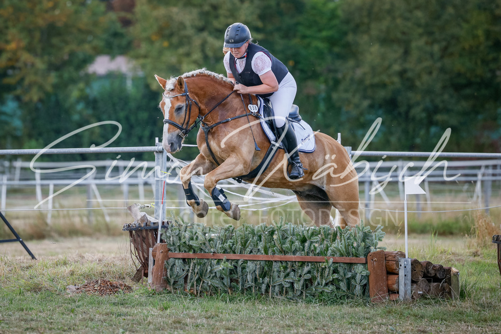 20250905-_3LI0474 | Tierfotografie Pferde, Hunde, Katzen, Haustiere.
Turnierfotografie Reitturniere, Reiten, Springreiten, Dressur in Hanau, dem Main-Kinzig-Kreis und dem Rhein-Main- Gebiet um Frankfurt