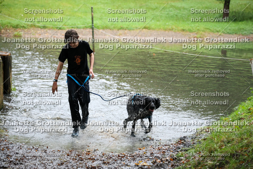 Dog Paparazzi -  SD1026-8331 | Dog Paparazzi Jeanette Grottendiek Fotografie & Videografie - Realisiert mit Pictrs.com