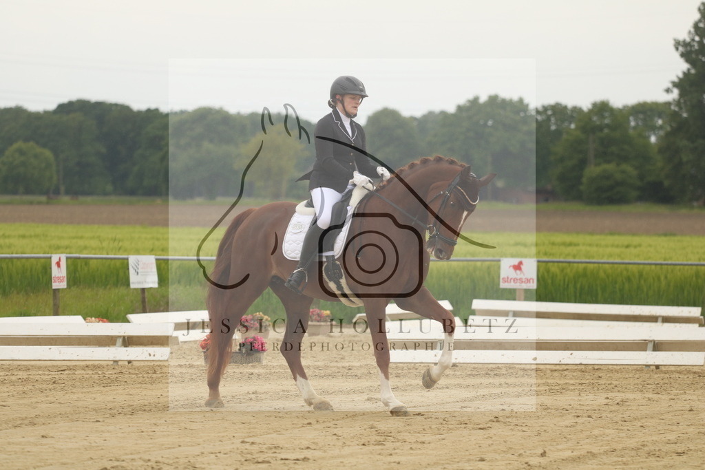IMG_6715 | jessicahollubetz_pferdephotographie - Realisiert mit Pictrs.com