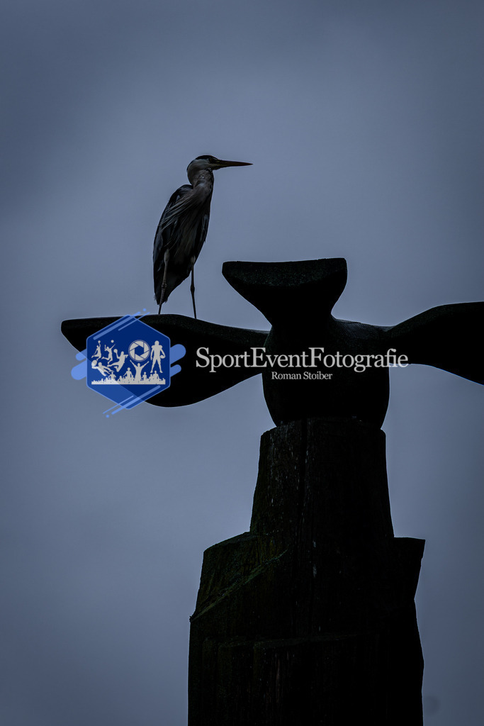 IMG_5651 | SportEventFotografie - Roman Stoiber