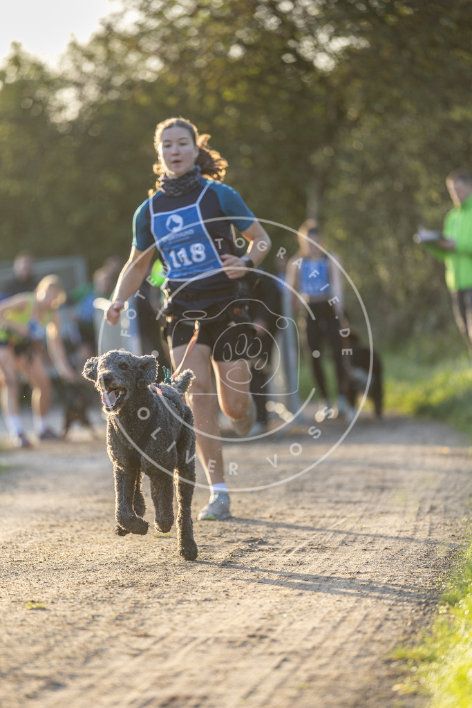 Pfotenfotografie.de_DV3A2432 | Hundefotografie, Tierfotograf, Pfotenfotografie, Fotoshooting Hund, Hunde Portrait, Hundesport, Hundeportraits, Heideshooting, Hunde, Sportfotograf, Hundefotograf, Turnierhundsport, THS, canicross - Realisiert mit Pictrs.com