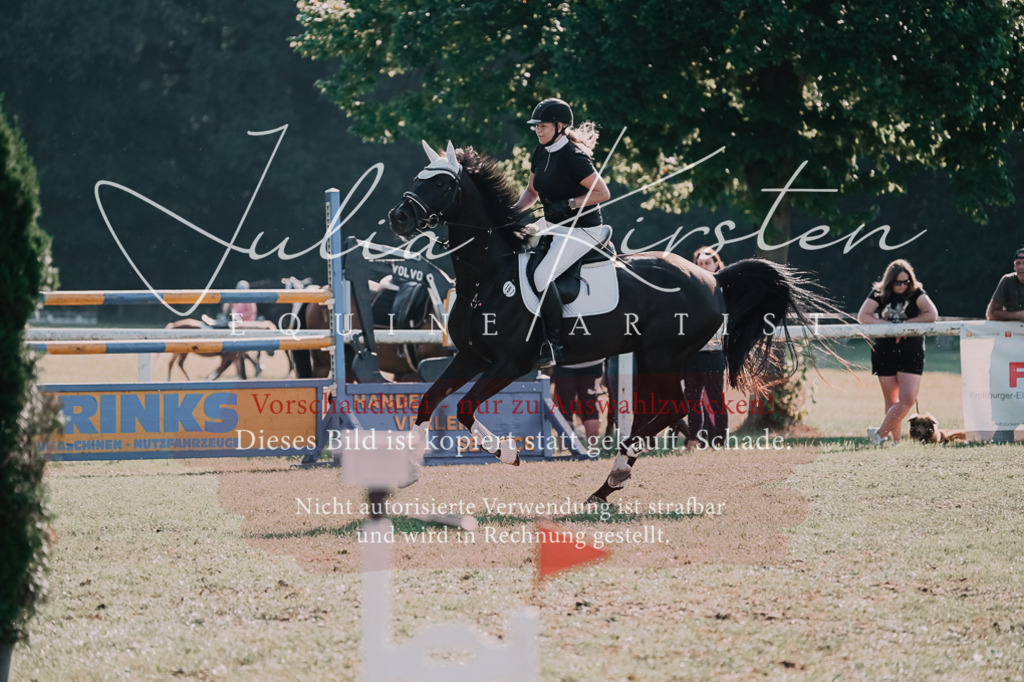 DSC_4757 | Pferde- und Turnierfotografie in Westsachsen. Pferdeportraits, Auftragszeichnungen und intuitive Kunst.
