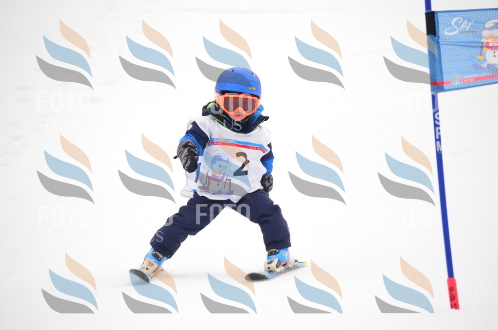 B9019 | holidayphoto