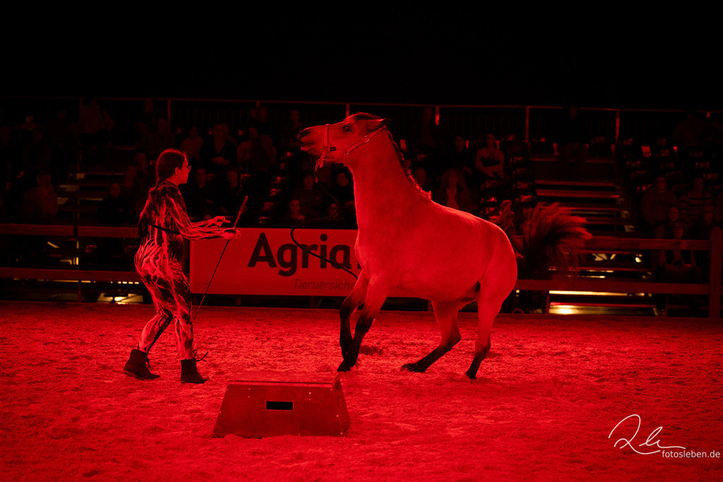 846A6507 | fotosleben - Realisiert mit Pictrs.com