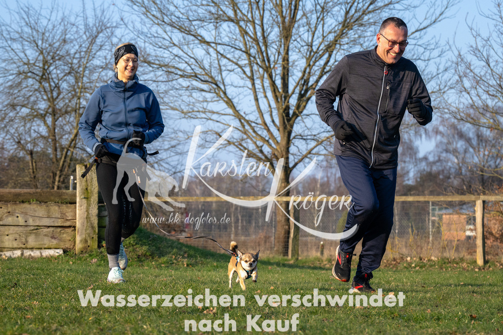 _ZZ90239 | kk-dogfotos