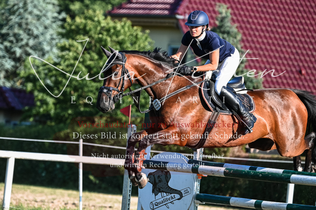 DSC_2967 | Pferde- und Turnierfotografie in Westsachsen. Pferdeportraits, Auftragszeichnungen und intuitive Kunst.