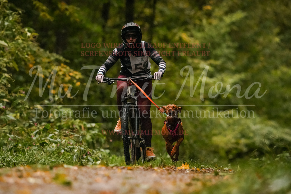 20251005_THS_Turnier-106 | MuT (Mensch und Tier) mit Mona - Fotografie und Tierkommunikation - Realisiert mit Pictrs.com