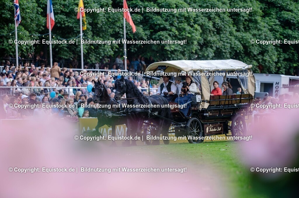 20250606_Lange-Pferdenacht_0121 | Foto: Thomas Hartig