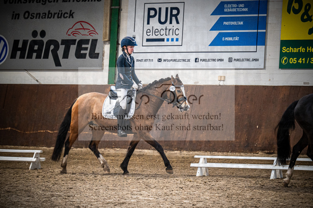 Hallenreittunier Voxtrup 2023 | Entdecke hochwertige Reitturnierfotos von Foto Oger. Professionell, emotional und authentisch – jetzt Lieblingsmomente im Shop bestellen.Deutschlandweite Turnierfotografie. - Realisiert mit Pictrs.com