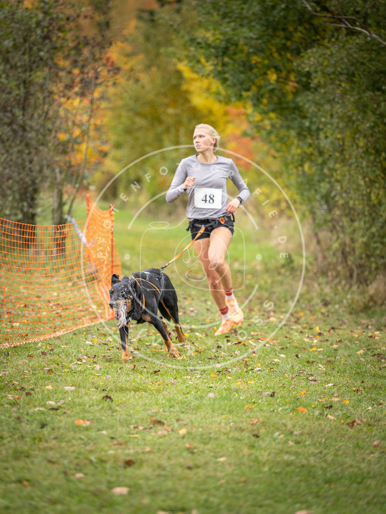 Pfotenfotografie_DV3A2421 | Hundefotografie, Tierfotograf, Pfotenfotografie, Fotoshooting Hund, Hunde Portrait, Hundesport, Hundeportraits, Heideshooting, Hunde, Sportfotograf, Hundefotograf, Turnierhundsport, THS,  - Realisiert mit Pictrs.com