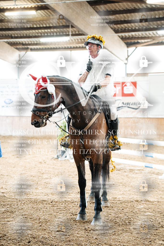 CK702932 | Turnierfotografie Pferdefotografie Trier Rheinland-Pfalz Pferdesport Reitsport Tierfotografie Sportfotografie Pferdevideo Pferdevideografie Equestrianvideography equestrianphotography  - Realized with Pictrs.com