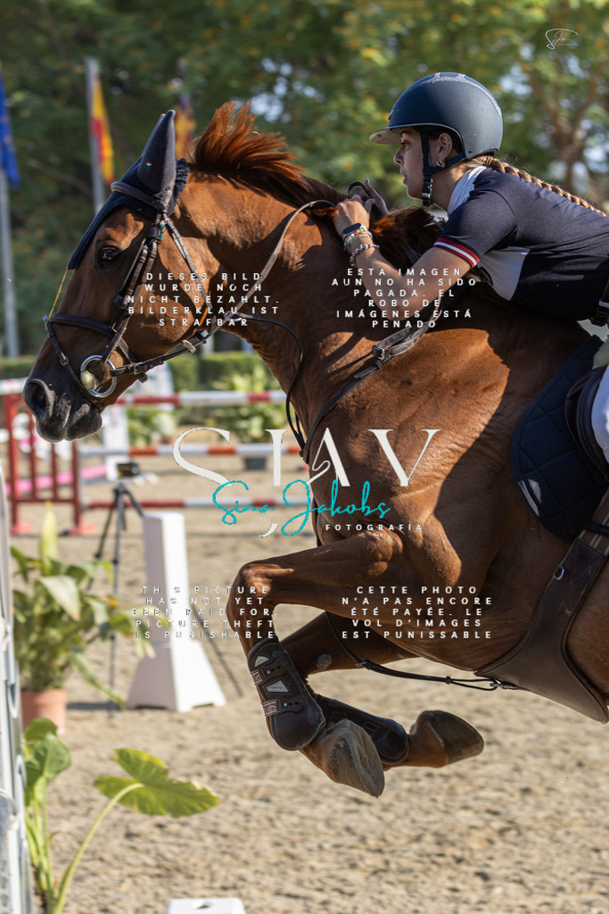 IMG_9402 | s-jay-photography - Realisiert mit Pictrs.com