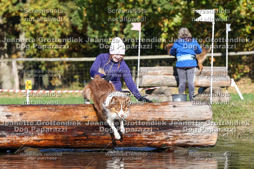 Dog Paparazzi - Strongdog 10-25-8898 | Dog Paparazzi Jeanette Grottendiek Fotografie & Videografie - Realisiert mit Pictrs.com