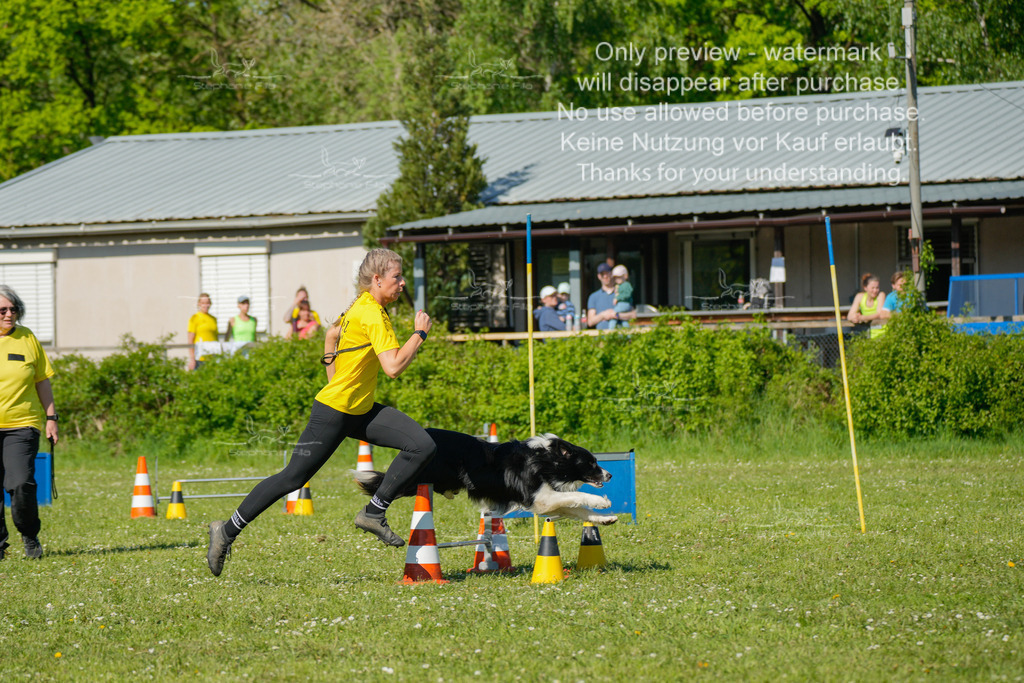 Sa_CSC-111 | stephaniefillaphotographie - Realisiert mit Pictrs.com