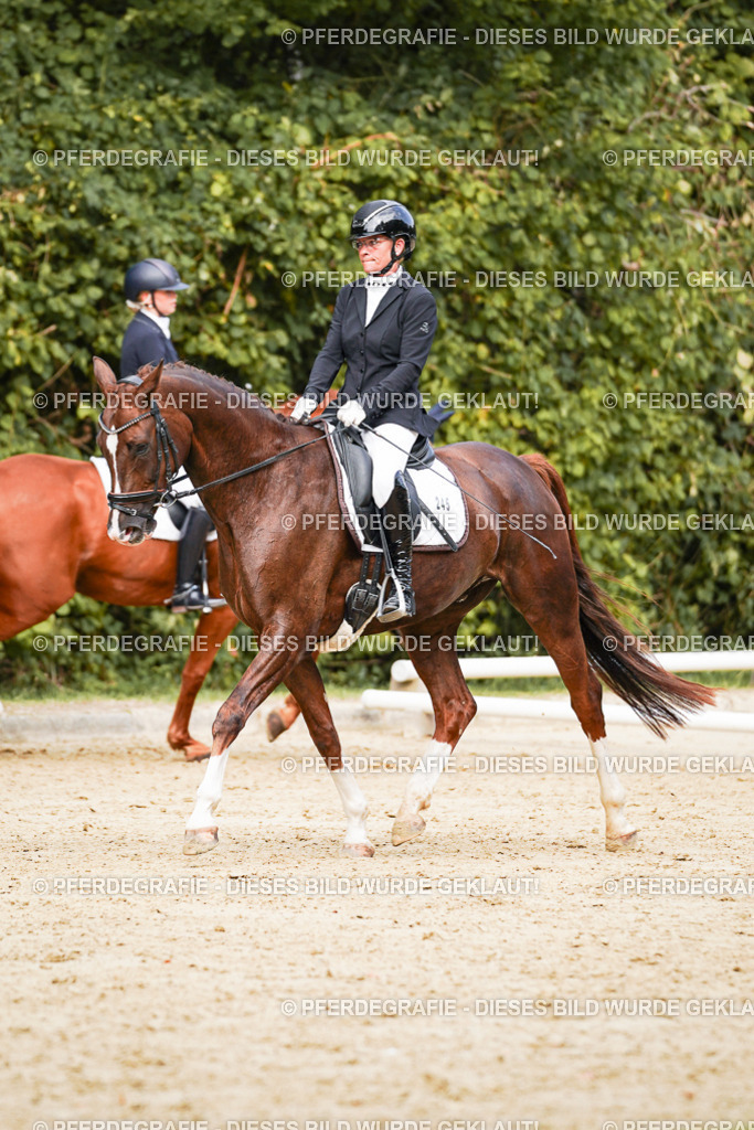 DSC02848 | Pferdegrafie