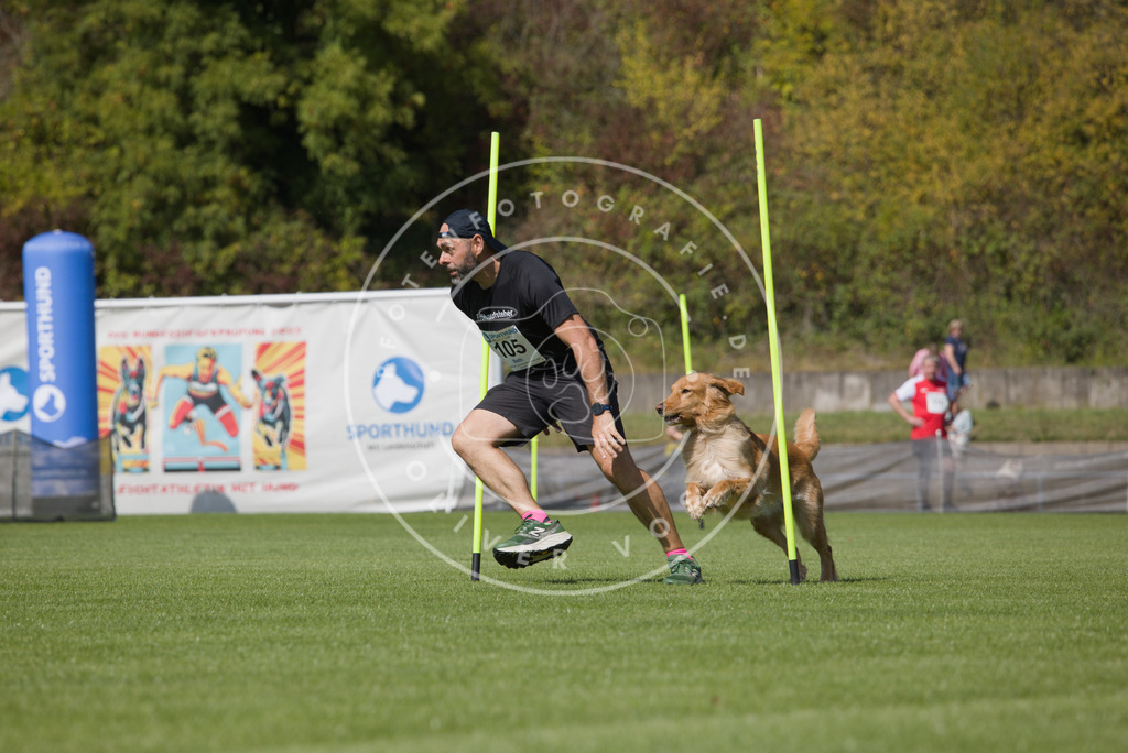0L8A2622 | Hundefotografie, Tierfotograf, Pfotenfotografie, Fotoshooting Hund, Hunde Portrait, Hundesport, Hundeportraits, Heideshooting, Hunde, Sportfotograf, Hundefotograf, Turnierhundsport, THS,  - Realisiert mit Pictrs.com