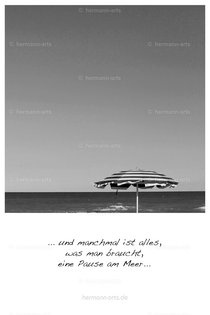 PK_Zitate_10x15_BW-014 | Photo Foto Kunst Art schwarzweiss Bilder Rheine Münster Berlin Blumen 