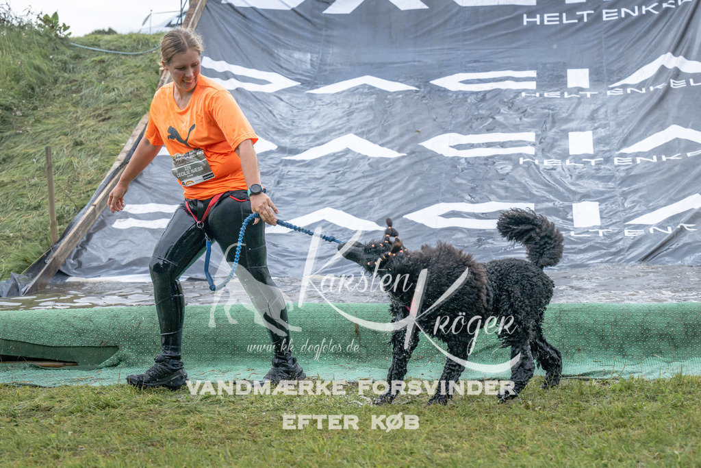 1539_ZZ94663 | kk-dogfotos