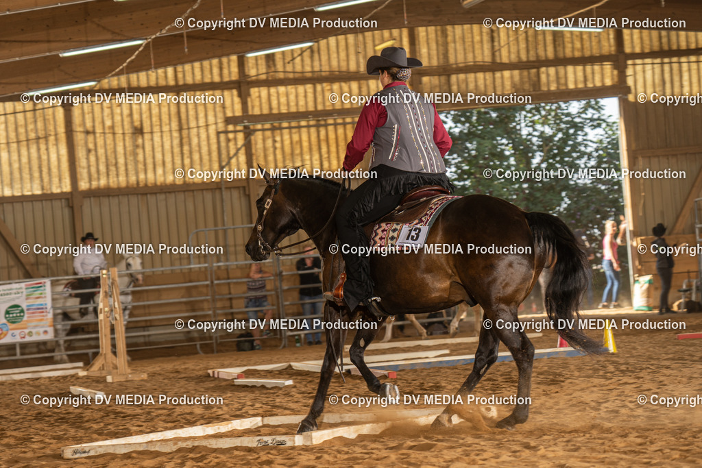 NID02743 | dv-media-shop - Realisiert mit Pictrs.com