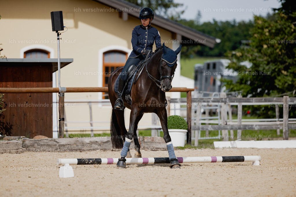 Leonie24_FHC2025-49 | working equitationturnier fotograf videograf stoibphotography marixx film working equitation deutschland reitsport turnierfotografie eventfotografie equestrian events