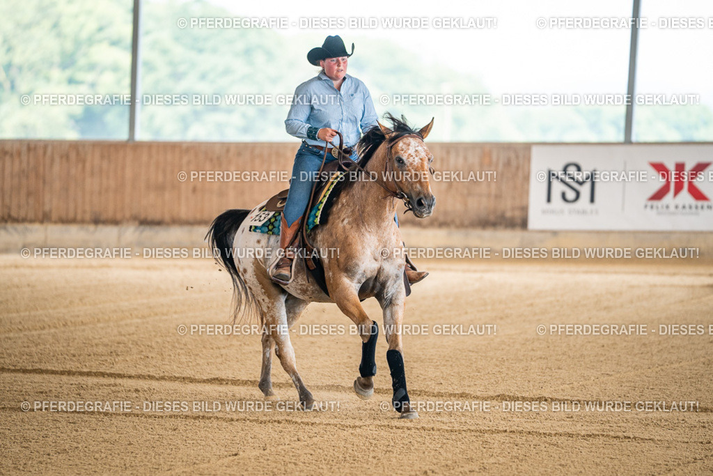 DSC03877 | Pferdegrafie