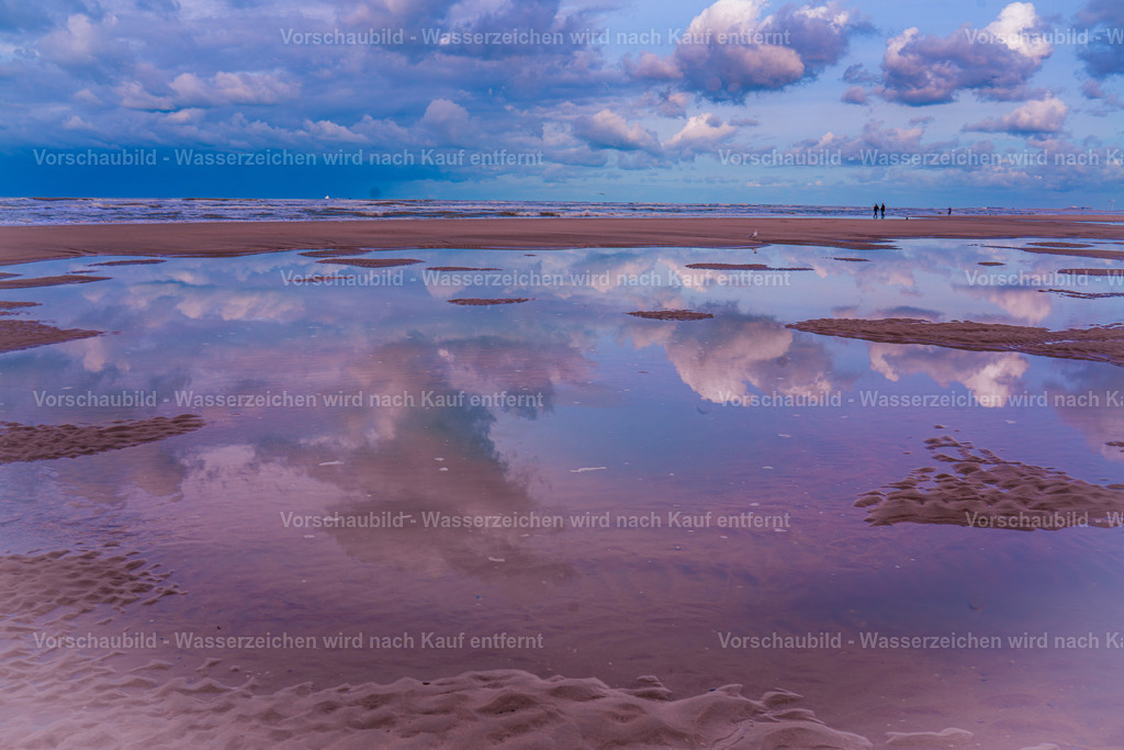 DSC01530-Enhanced-NR-2 | marcuslinek