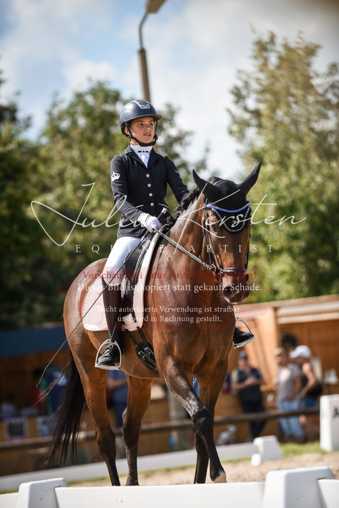 DSC_9395 | Pferde- und Turnierfotografie in Westsachsen. Pferdeportraits, Auftragszeichnungen und intuitive Kunst.