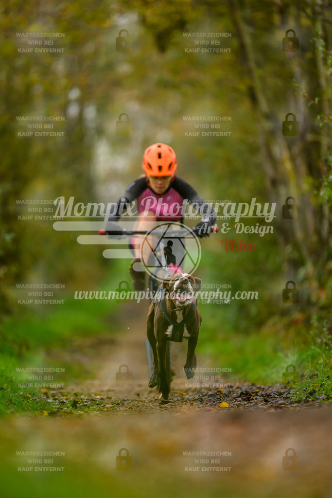 MompixPhotography_20TSB_E6_DS1-69 | PayLife