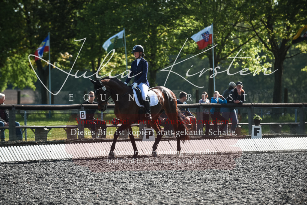 DSC_8763 | Pferde- und Turnierfotografie in Westsachsen. Pferdeportraits, Auftragszeichnungen und intuitive Kunst.