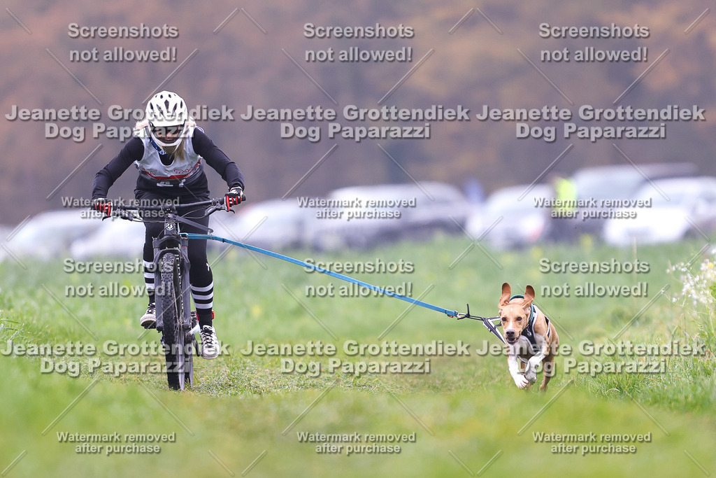 Dog Paparazzi - Visbeck 25 -157 | Dog Paparazzi Jeanette Grottendiek Fotografie & Videografie - Realisiert mit Pictrs.com