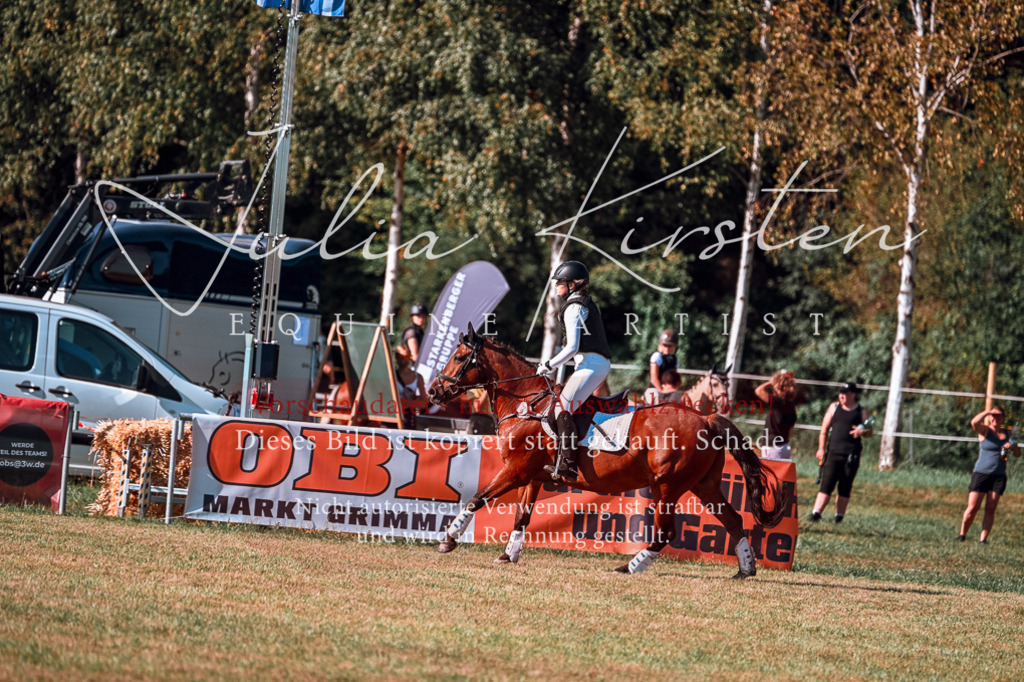 DSC_0607 | Pferde- und Turnierfotografie in Westsachsen. Pferdeportraits, Auftragszeichnungen und intuitive Kunst.