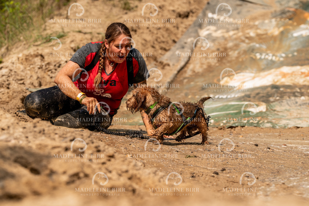 madeleinebirr.fotografie.2026.CC-hoope.samstag.14-57-04.300 | hundefotografie-birr