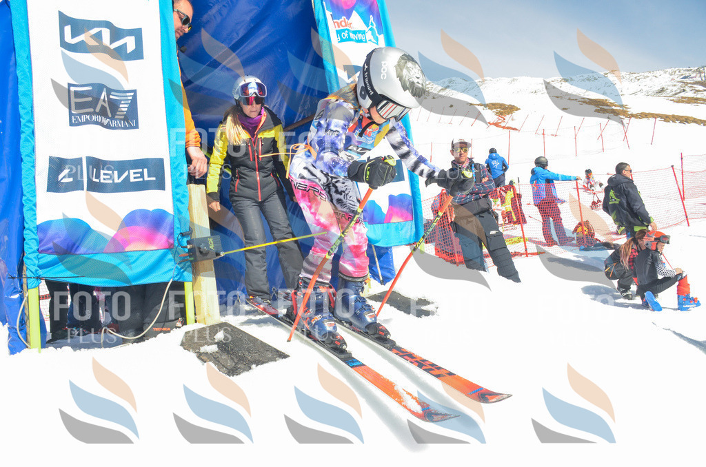 _ELE6207 | holidayphoto