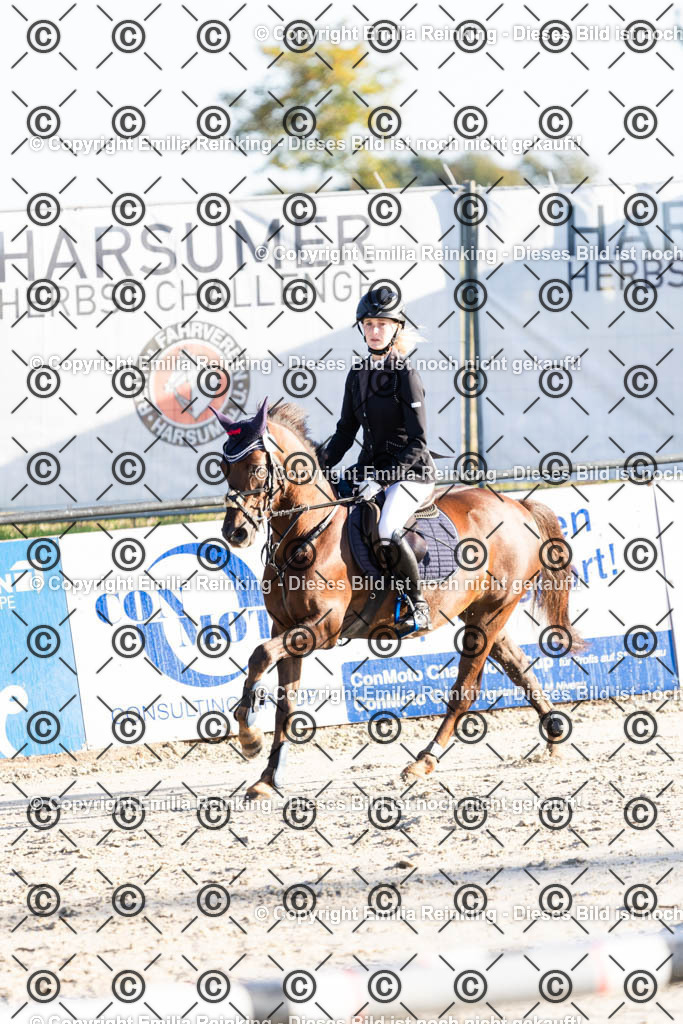 CL5A0972 | Emilia Reinking Fotografie - Realisiert mit Pictrs.com