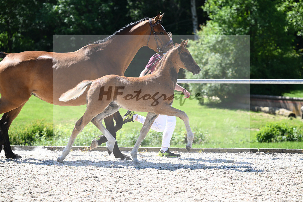 Kat-Nr. 7 HF Nechristo_Zimmermann_16230187 | hf-fotografie - Realisiert mit Pictrs.com