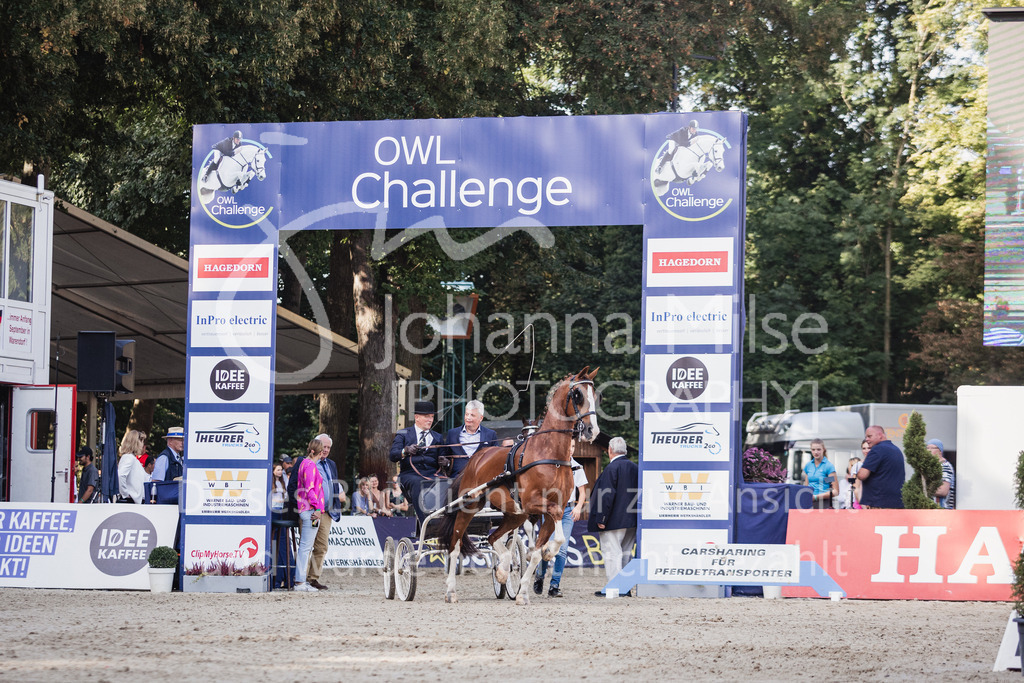 230910_OWLCh_GroßerPreis-690 | Deine schönsten Turniermomente als professionelle Fotos! Entdecke hochwertige Pferdesport-Fotografie im Online-Shop. Jetzt Fotos finden & bestellen!