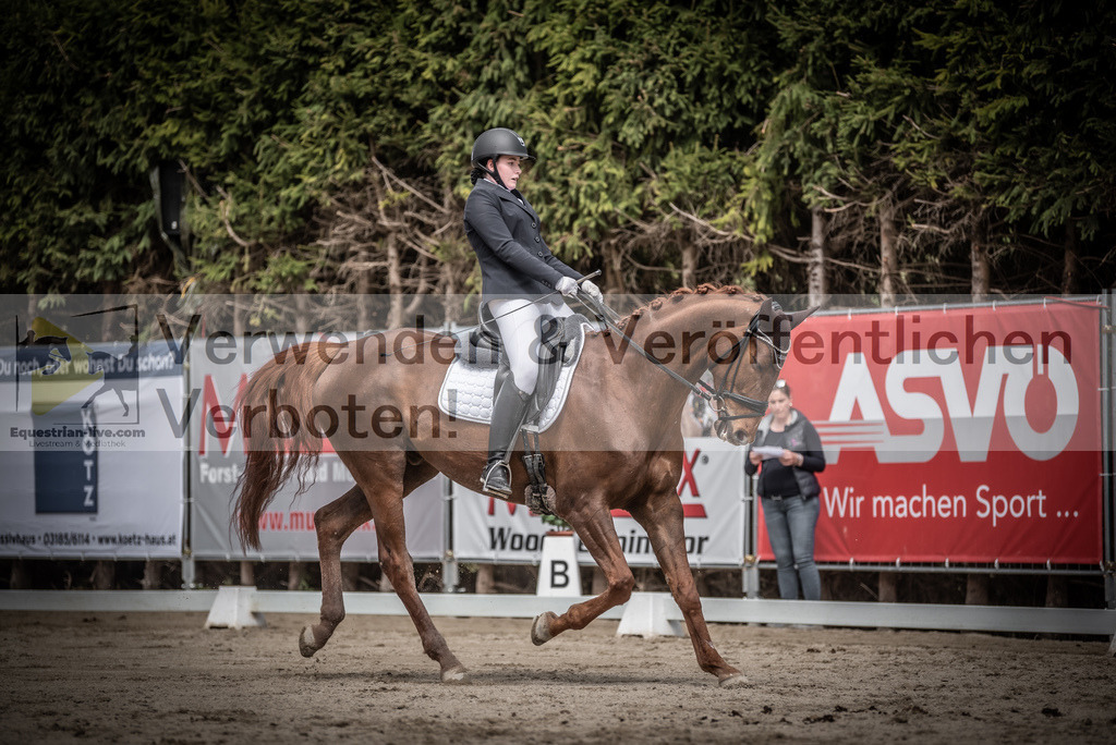 DSC_2862 | equestrian-live-com