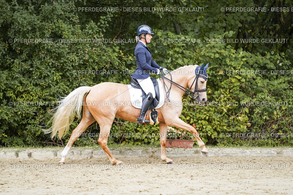 DSC04866 | Pferdegrafie